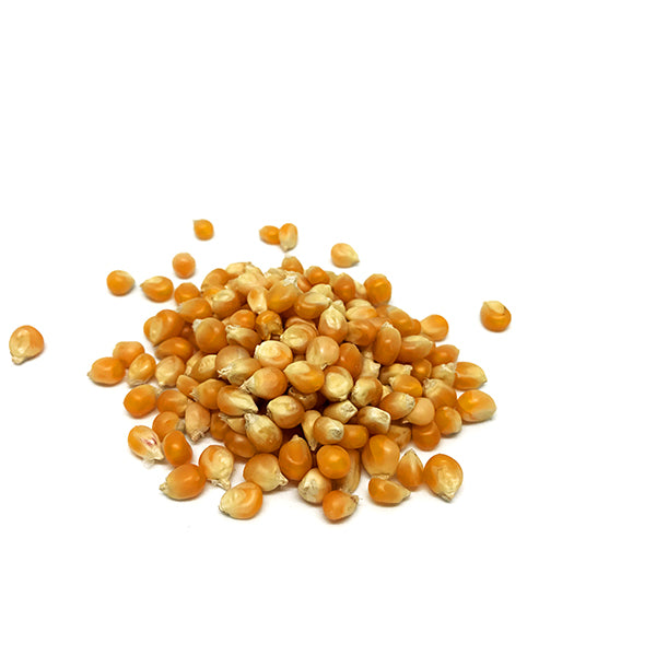 Mushroom Popcorn Kernels